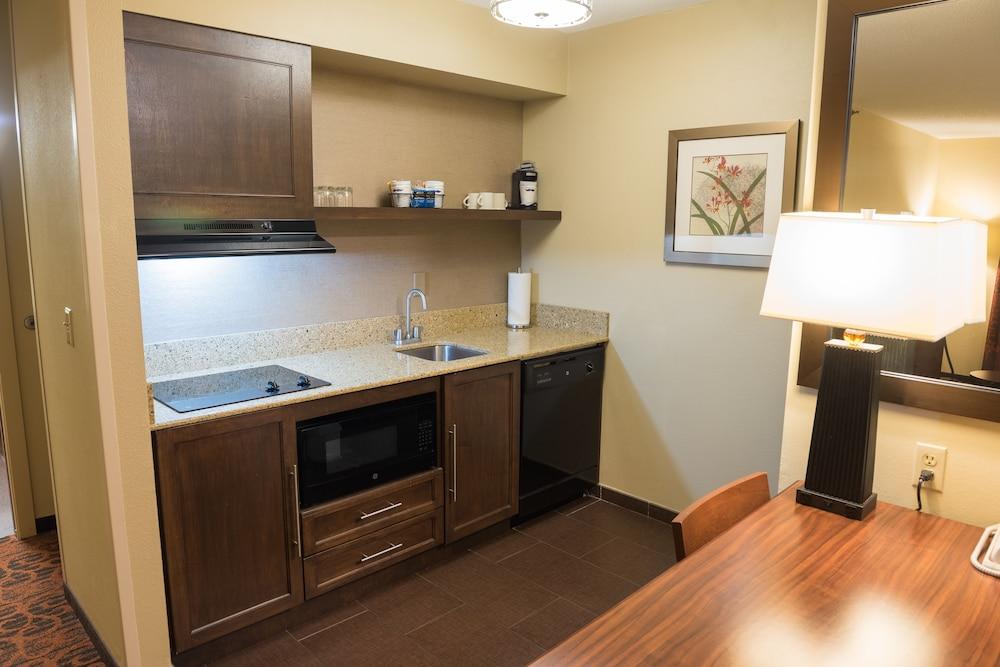 Hampton Inn & Suites Tampa-North Esterno foto