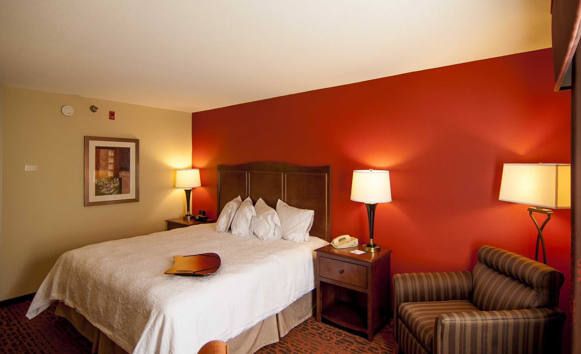 Hampton Inn & Suites Tampa-North Esterno foto